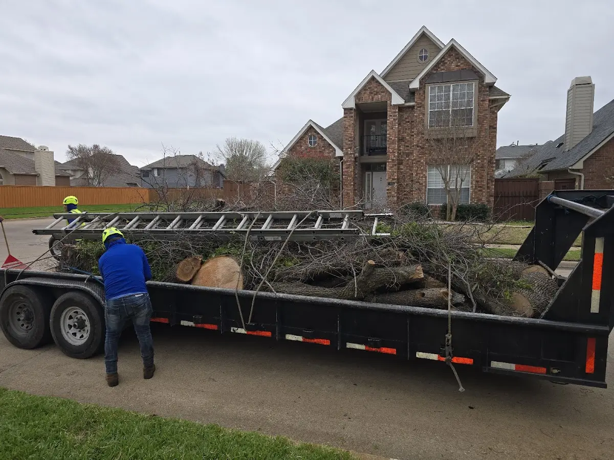 Expert Tree Removal with proper safety equipment in Corinth